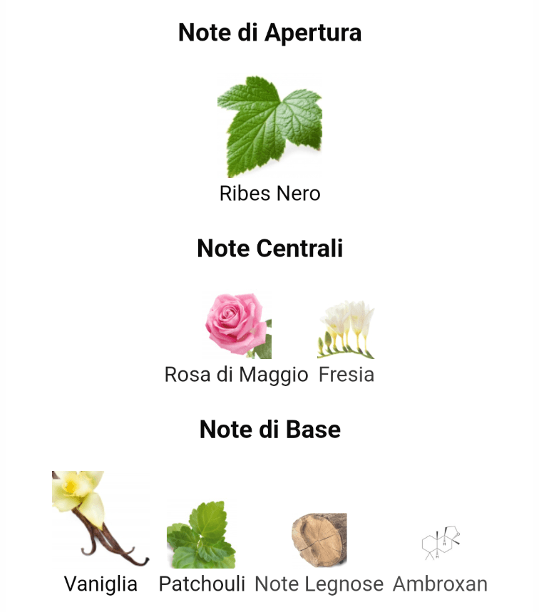 Profumo Donna Ispirato a Sì di Giorgio Armani – Extrait De Parfum Chypre Floreale 55ml | Uswa Fragranze