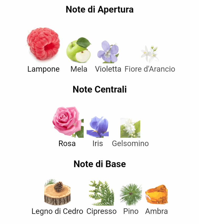 Ispirato a Flamenco di Ramon Monegal Unisex