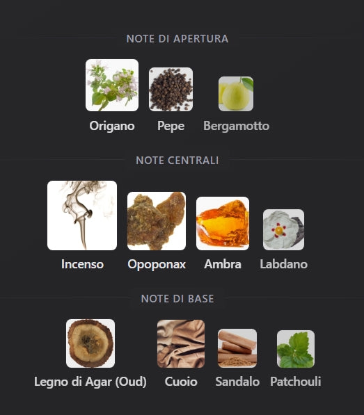 Profumo Uomo Ispirato a Interlude Man di Amouage – EDP Orientale Legnoso 55ml | Uswa Fragranze